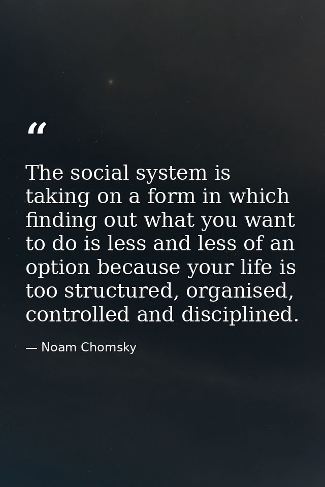 The social system is taking on a form in which finding out what you want to do is less and less of an option because you — Noam Chomsky