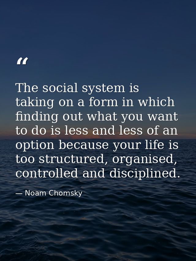 The social system is taking on a form in which finding out what you want to do is less and less of an option because you — Noam Chomsky