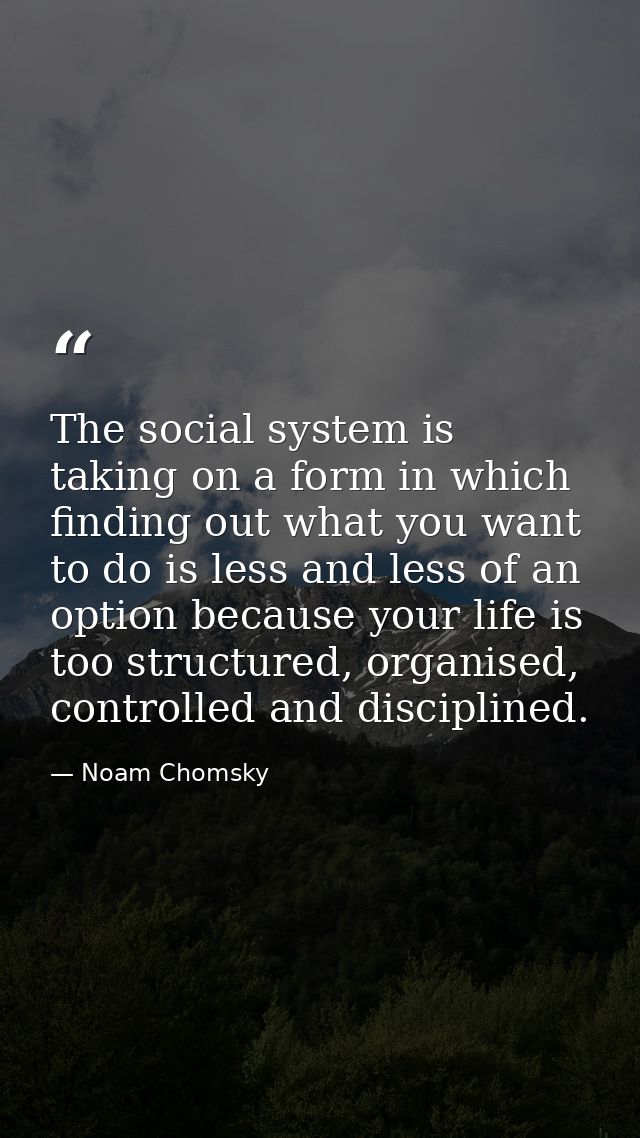 The social system is taking on a form in which finding out what you want to do is less and less of an option because you — Noam Chomsky