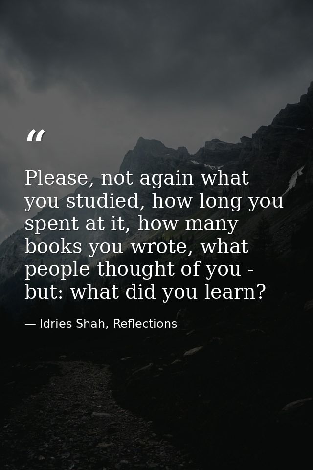 Please, not again what you studied, how long you spent at it, how many books you wrote, what people thought of you - but — Idries Shah, Reflections