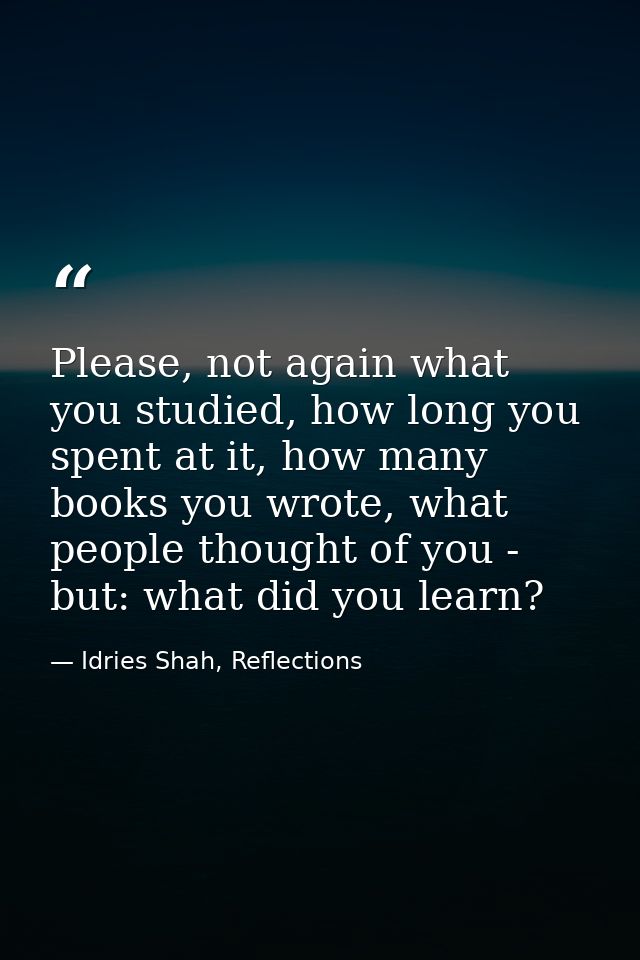 Please, not again what you studied, how long you spent at it, how many books you wrote, what people thought of you - but — Idries Shah, Reflections