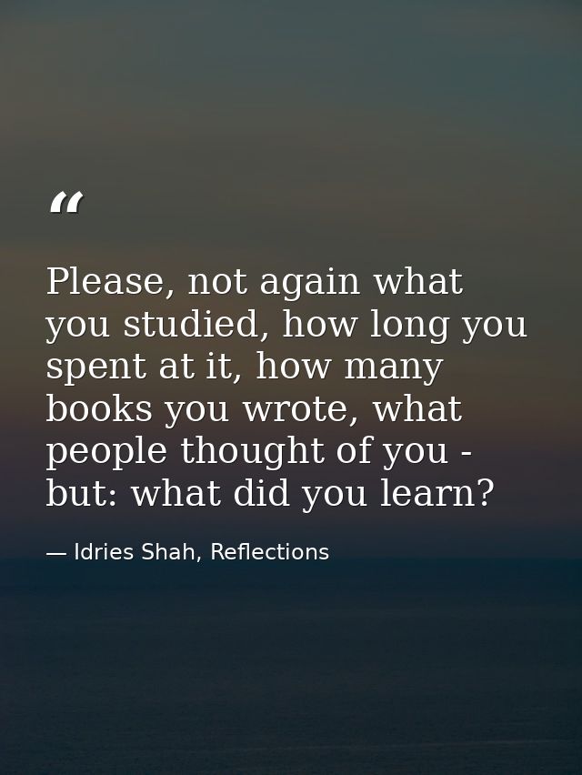 Please, not again what you studied, how long you spent at it, how many books you wrote, what people thought of you - but — Idries Shah, Reflections