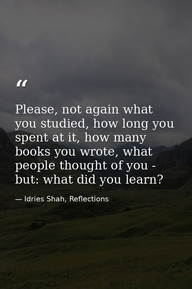 Please, not again what you studied, how long you spent at it, how many books you wrote, what people thought of you - but — Idries Shah, Reflections