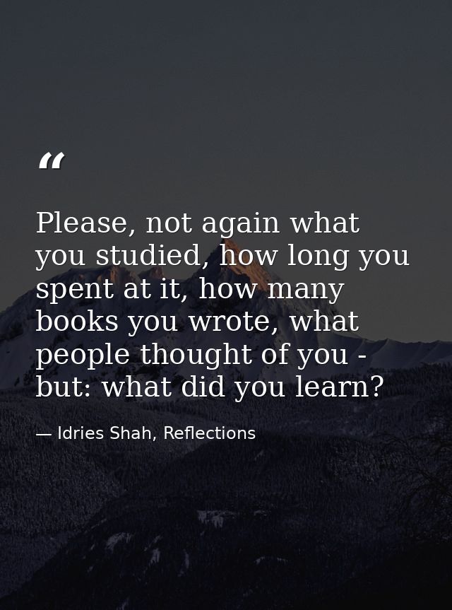 Please, not again what you studied, how long you spent at it, how many books you wrote, what people thought of you - but — Idries Shah, Reflections