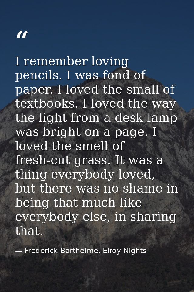 I remember loving pencils. I was fond of paper. I loved the small of textbooks. I loved the way the light from a desk la — Frederick Barthelme, Elroy Nights