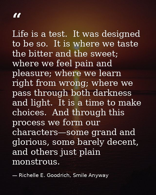 Life is a test.  It was designed to be so.  It is where we taste the bitter and the sweet; where we feel pain and pleasu — Richelle E. Goodrich, Smile Anyway