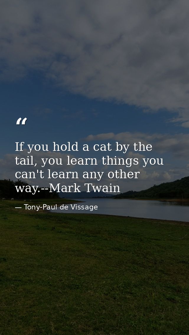 If you hold a cat by the tail, you learn things you can't learn any other way.--Mark Twain — Tony-Paul de Vissage