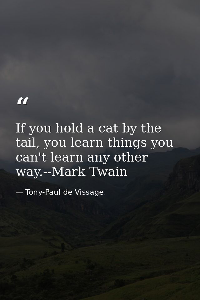 If you hold a cat by the tail, you learn things you can't learn any other way.--Mark Twain — Tony-Paul de Vissage