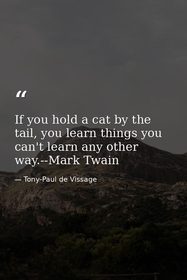 If you hold a cat by the tail, you learn things you can't learn any other way.--Mark Twain — Tony-Paul de Vissage