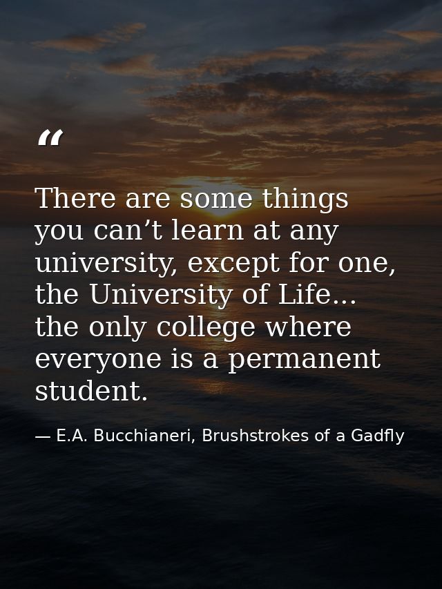 There are some things you can’t learn at any university, except for one, the University of Life... the only college wher — E.A. Bucchianeri, Brushstrokes of a Gadfly