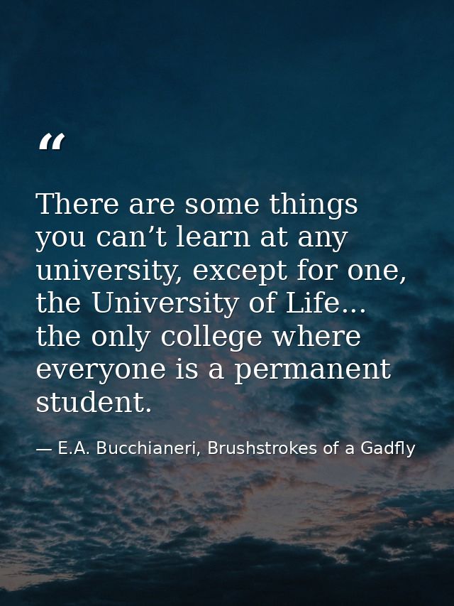 There are some things you can’t learn at any university, except for one, the University of Life... the only college wher — E.A. Bucchianeri, Brushstrokes of a Gadfly