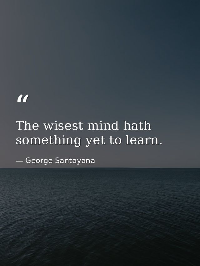 The wisest mind hath something yet to learn. — George Santayana