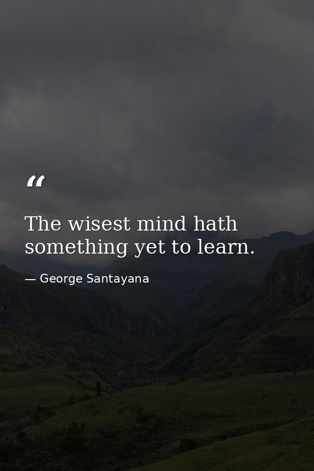 The wisest mind hath something yet to learn. — George Santayana
