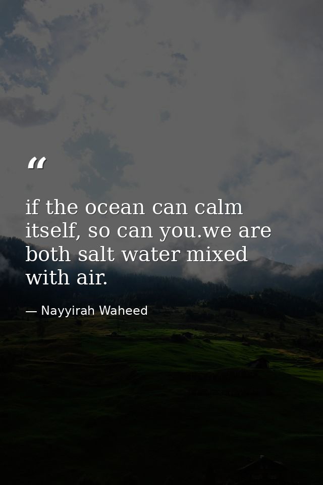 if the ocean can calm itself, so can you.we are both salt water mixed with air. — Nayyirah Waheed