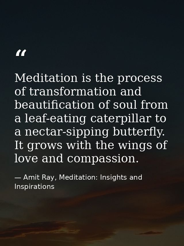 Meditation is the process of transformation and beautification of soul from a leaf-eating caterpillar to a nectar-sippin — Amit Ray, Meditation: Insights and Inspirations