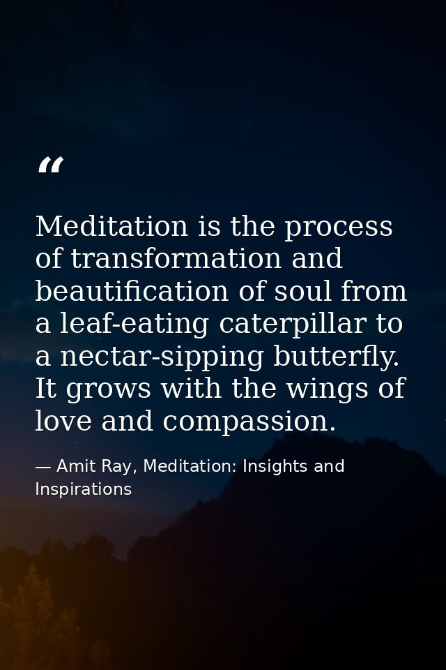 Meditation is the process of transformation and beautification of soul from a leaf-eating caterpillar to a nectar-sippin — Amit Ray, Meditation: Insights and Inspirations