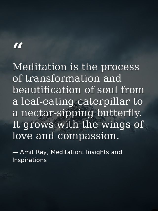 Meditation is the process of transformation and beautification of soul from a leaf-eating caterpillar to a nectar-sippin — Amit Ray, Meditation: Insights and Inspirations