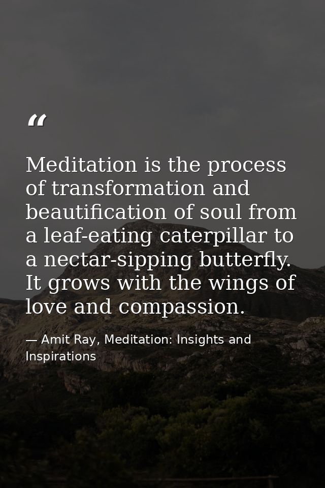Meditation is the process of transformation and beautification of soul from a leaf-eating caterpillar to a nectar-sippin — Amit Ray, Meditation: Insights and Inspirations