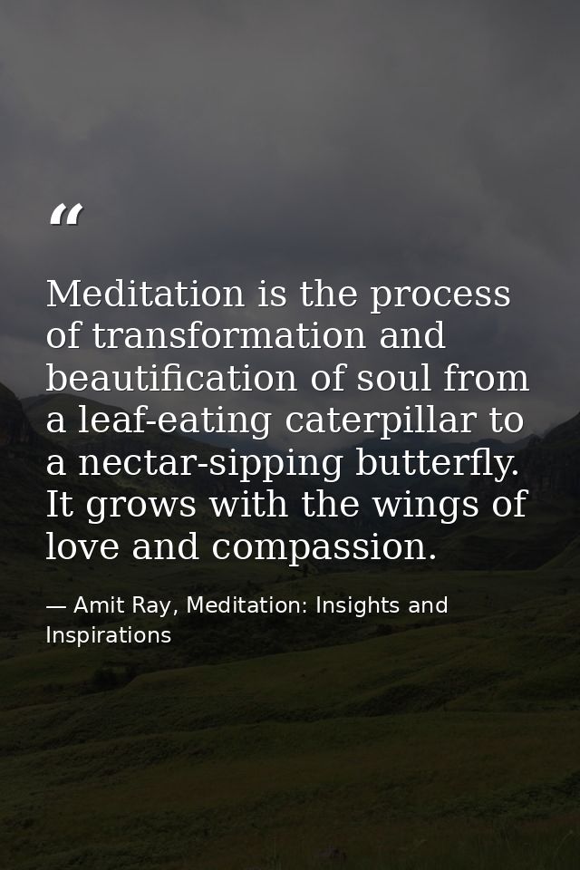 Meditation is the process of transformation and beautification of soul from a leaf-eating caterpillar to a nectar-sippin — Amit Ray, Meditation: Insights and Inspirations