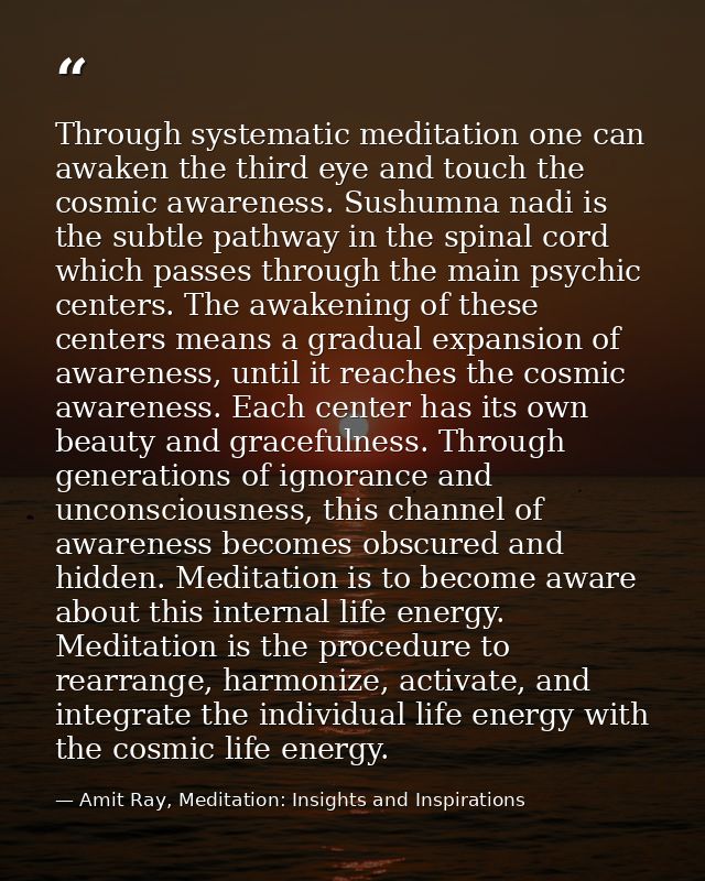 Through systematic meditation one can awaken the third eye and touch the cosmic awareness. Sushumna nadi is the subtle p — Amit Ray, Meditation: Insights and Inspirations