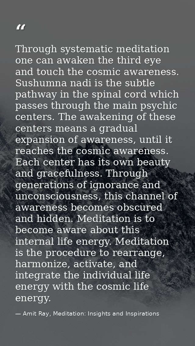 Through systematic meditation one can awaken the third eye and touch the cosmic awareness. Sushumna nadi is the subtle p — Amit Ray, Meditation: Insights and Inspirations