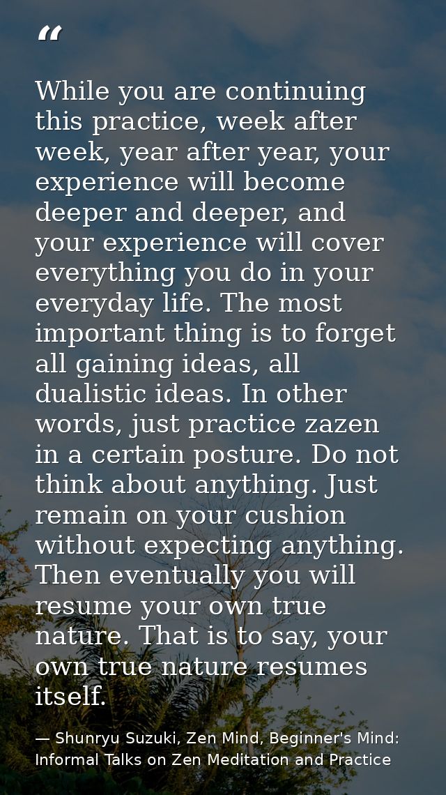 While you are continuing this practice, week after week, year after year, your experience will become deeper and deeper, — Shunryu Suzuki, Zen Mind, Beginner's Mind: Informal Talks on Zen Meditation and Practice