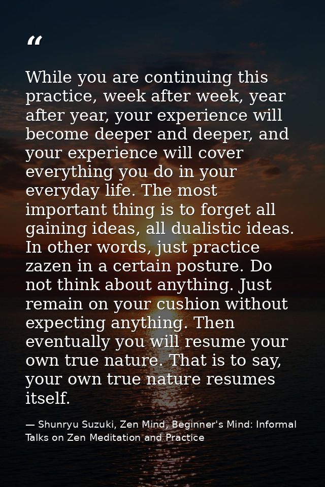 While you are continuing this practice, week after week, year after year, your experience will become deeper and deeper, — Shunryu Suzuki, Zen Mind, Beginner's Mind: Informal Talks on Zen Meditation and Practice