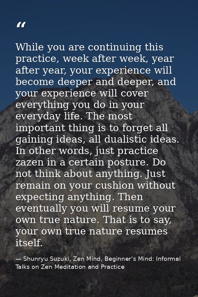 While you are continuing this practice, week after week, year after year, your experience will become deeper and deeper, — Shunryu Suzuki, Zen Mind, Beginner's Mind: Informal Talks on Zen Meditation and Practice