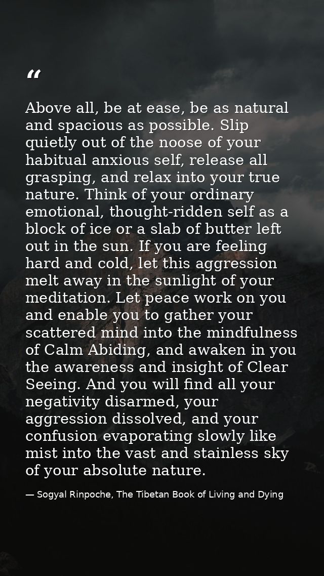 Above all, be at ease, be as natural and spacious as possible. Slip quietly out of the noose of your habitual anxious se — Sogyal Rinpoche, The Tibetan Book of Living and Dying