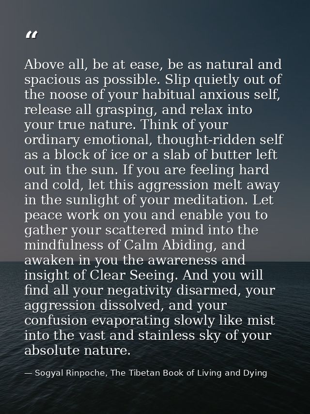 Above all, be at ease, be as natural and spacious as possible. Slip quietly out of the noose of your habitual anxious se — Sogyal Rinpoche, The Tibetan Book of Living and Dying