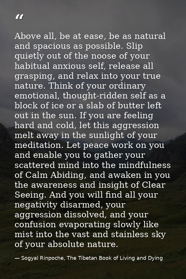 Above all, be at ease, be as natural and spacious as possible. Slip quietly out of the noose of your habitual anxious se — Sogyal Rinpoche, The Tibetan Book of Living and Dying