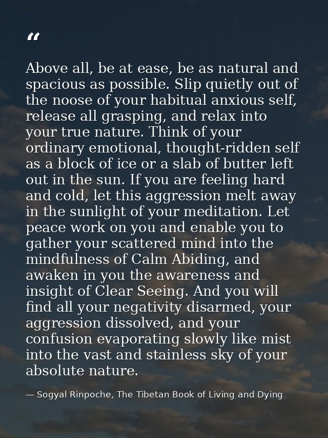 Above all, be at ease, be as natural and spacious as possible. Slip quietly out of the noose of your habitual anxious se — Sogyal Rinpoche, The Tibetan Book of Living and Dying