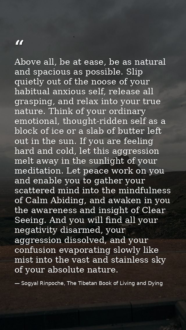 Above all, be at ease, be as natural and spacious as possible. Slip quietly out of the noose of your habitual anxious se — Sogyal Rinpoche, The Tibetan Book of Living and Dying
