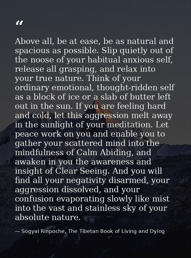 Above all, be at ease, be as natural and spacious as possible. Slip quietly out of the noose of your habitual anxious se — Sogyal Rinpoche, The Tibetan Book of Living and Dying