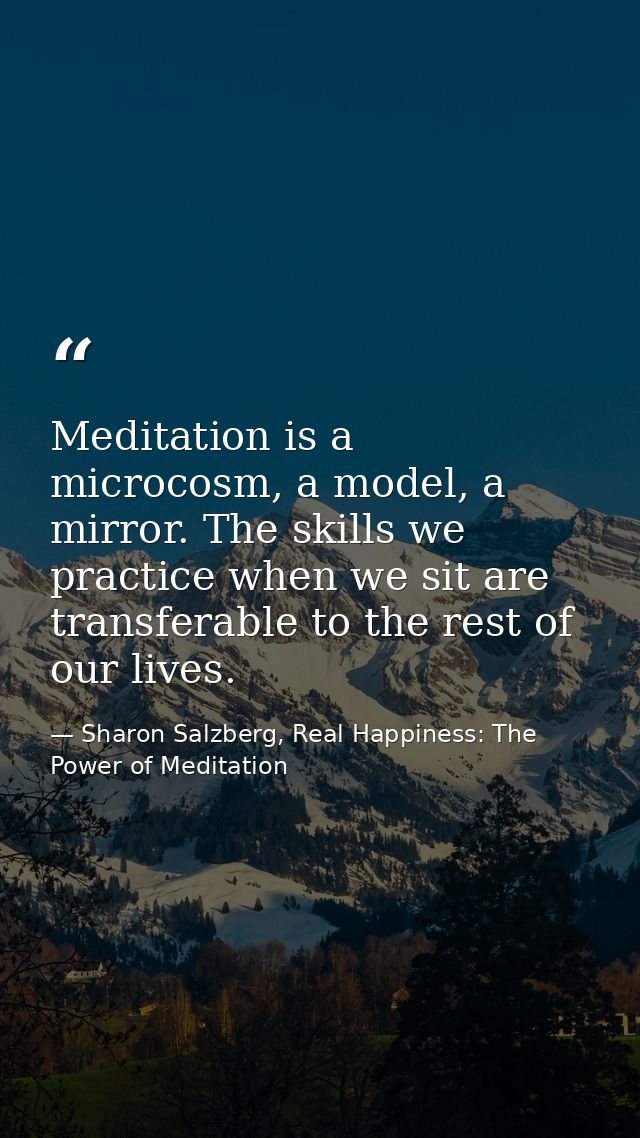 Meditation is a microcosm, a model, a mirror. The skills we practice when we sit are transferable to the rest of our liv — Sharon Salzberg, Real Happiness: The Power of Meditation