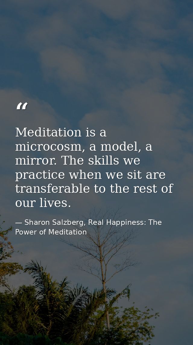 Meditation is a microcosm, a model, a mirror. The skills we practice when we sit are transferable to the rest of our liv — Sharon Salzberg, Real Happiness: The Power of Meditation