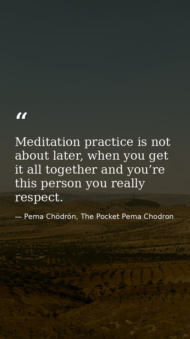 Meditation practice is not about later, when you get it all together and you’re this person you really respect. — Pema Chödrön, The Pocket Pema Chodron