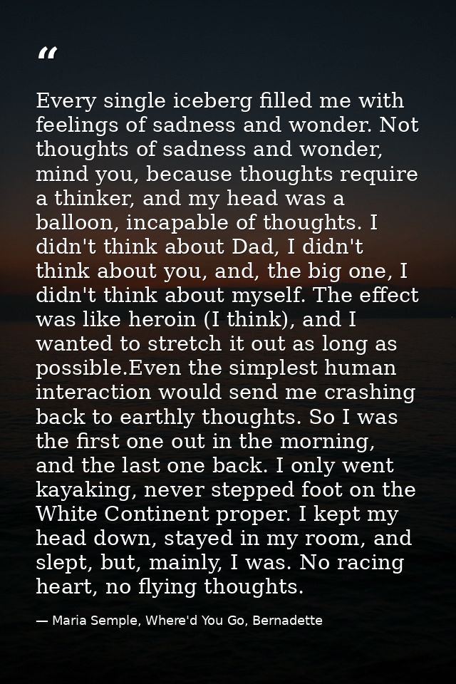 Every single iceberg filled me with feelings of sadness and wonder. Not thoughts of sadness and wonder, mind you, becaus — Maria Semple, Where'd You Go, Bernadette