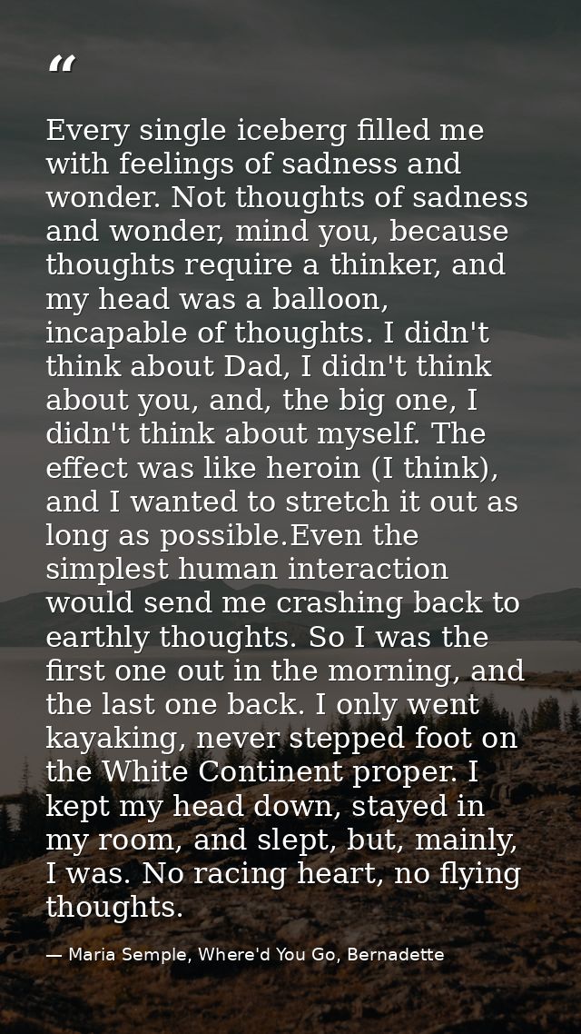 Every single iceberg filled me with feelings of sadness and wonder. Not thoughts of sadness and wonder, mind you, becaus — Maria Semple, Where'd You Go, Bernadette