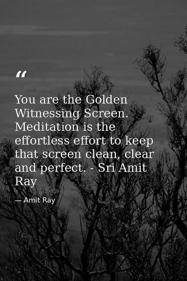 You are the Golden Witnessing Screen. Meditation is the effortless effort to keep that screen clean, clear and perfect.  — Amit Ray