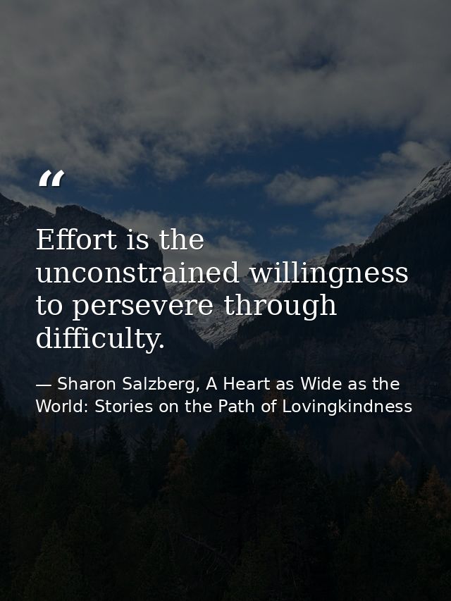 Effort is the unconstrained willingness to persevere through difficulty. — Sharon Salzberg, A Heart as Wide as the World: Stories on the Path of Lovingkindness