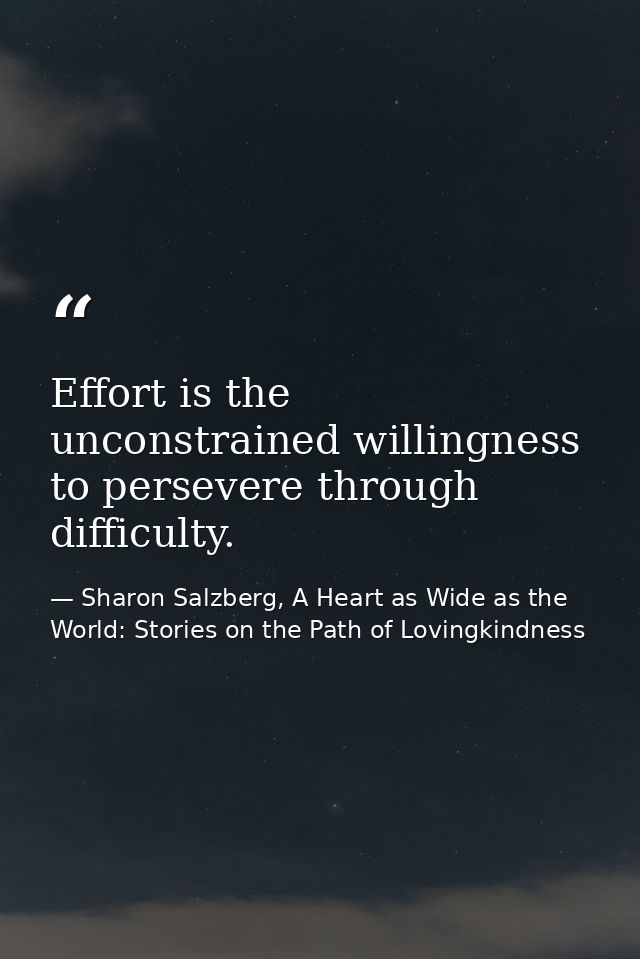 Effort is the unconstrained willingness to persevere through difficulty. — Sharon Salzberg, A Heart as Wide as the World: Stories on the Path of Lovingkindness