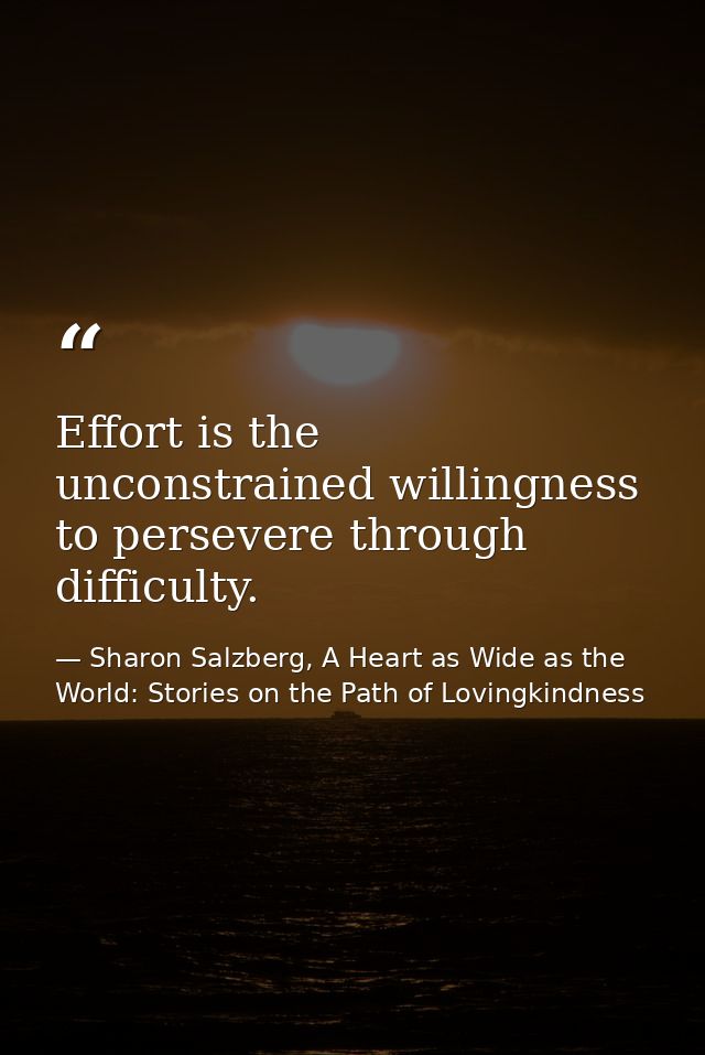 Effort is the unconstrained willingness to persevere through difficulty. — Sharon Salzberg, A Heart as Wide as the World: Stories on the Path of Lovingkindness
