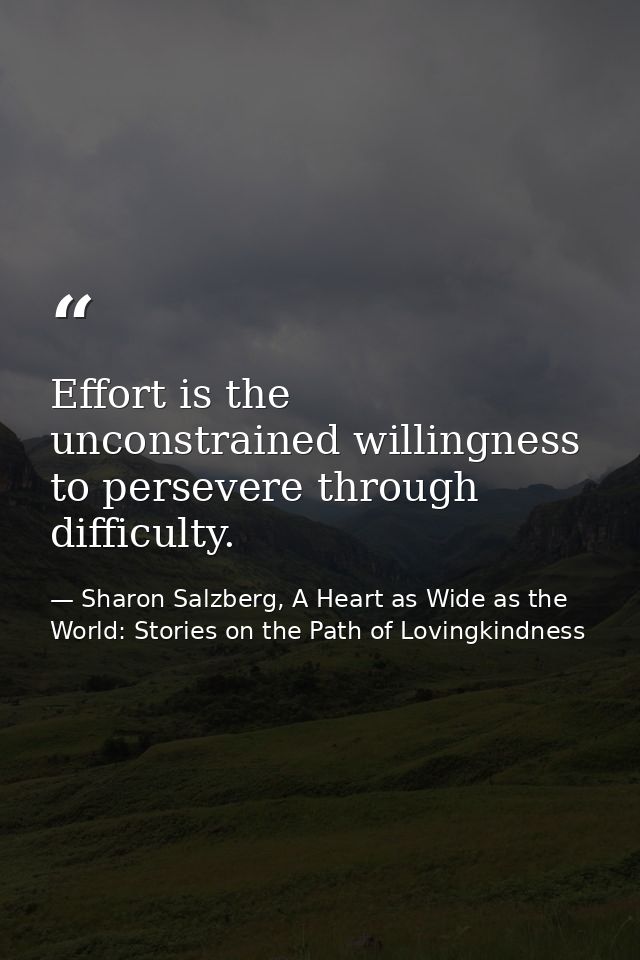 Effort is the unconstrained willingness to persevere through difficulty. — Sharon Salzberg, A Heart as Wide as the World: Stories on the Path of Lovingkindness