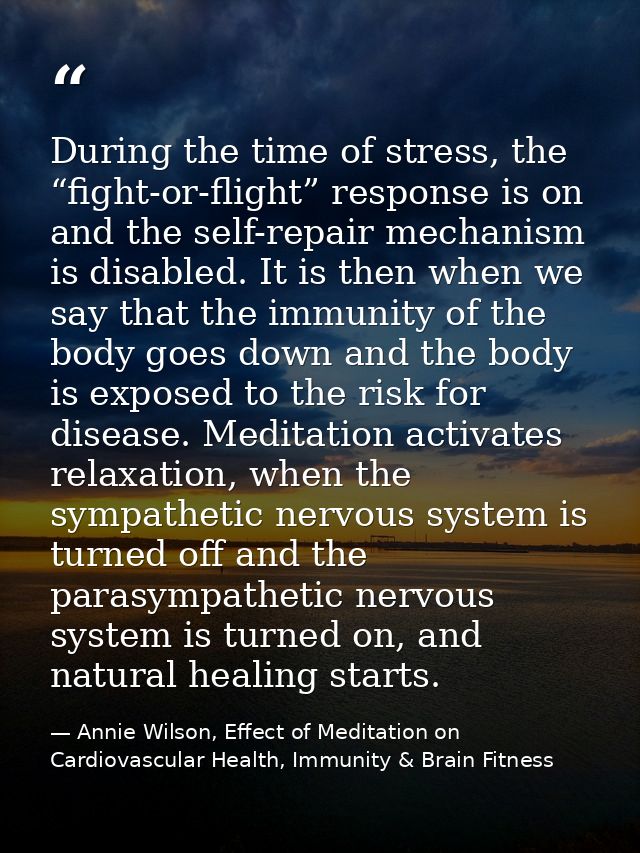 During the time of stress, the “fight-or-flight” response is on and the self-repair mechanism is disabled. It is then wh — Annie Wilson, Effect of Meditation on Cardiovascular Health, Immunity & Brain Fitness