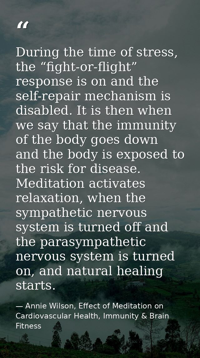 During the time of stress, the “fight-or-flight” response is on and the self-repair mechanism is disabled. It is then wh — Annie Wilson, Effect of Meditation on Cardiovascular Health, Immunity & Brain Fitness