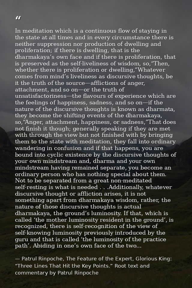 In meditation which is a continuous flow of staying in the state at all times and in every circumstance there is neither — Patrul Rinpoche, The Feature of the Expert, Glorious King: “Three Lines That Hit the Key Points.” Root text and commentary by Patrul Rinpoche