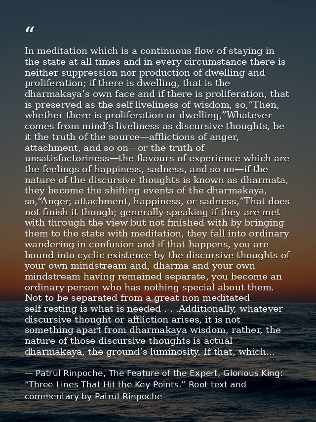 In meditation which is a continuous flow of staying in the state at all times and in every circumstance there is neither — Patrul Rinpoche, The Feature of the Expert, Glorious King: “Three Lines That Hit the Key Points.” Root text and commentary by Patrul Rinpoche