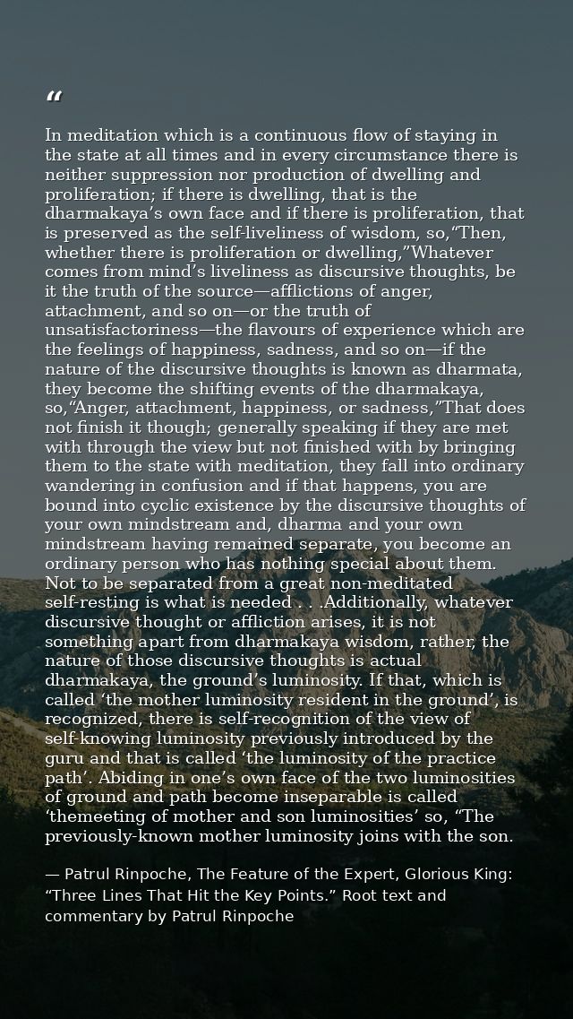 In meditation which is a continuous flow of staying in the state at all times and in every circumstance there is neither — Patrul Rinpoche, The Feature of the Expert, Glorious King: “Three Lines That Hit the Key Points.” Root text and commentary by Patrul Rinpoche