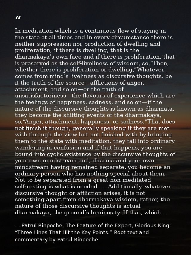 In meditation which is a continuous flow of staying in the state at all times and in every circumstance there is neither — Patrul Rinpoche, The Feature of the Expert, Glorious King: “Three Lines That Hit the Key Points.” Root text and commentary by Patrul Rinpoche